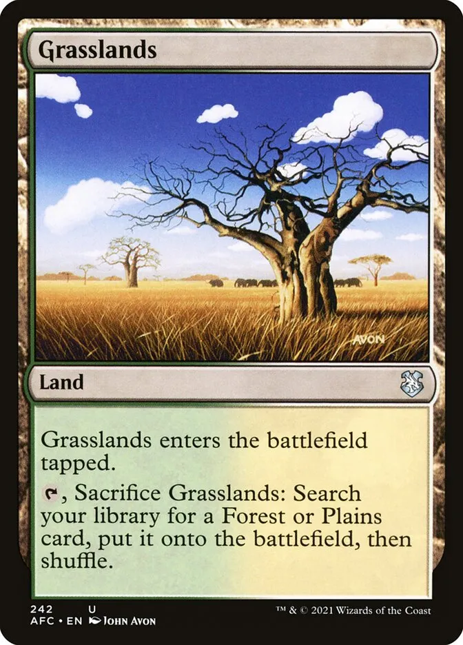 2021 Forgotten Realms Commander Grasslands uncommon #242 uncommon card image
