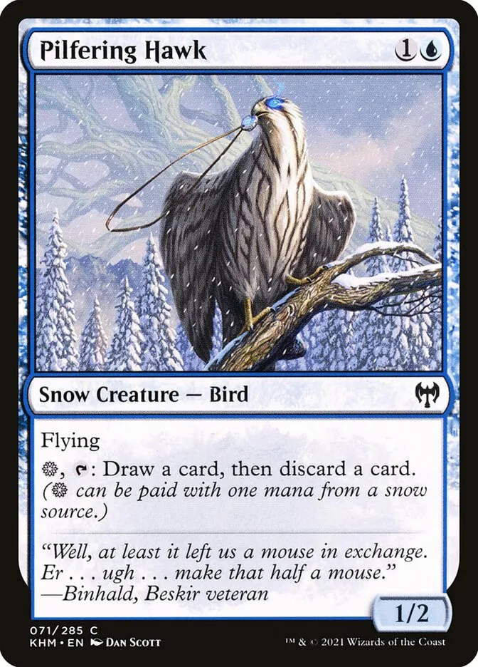 2021 Kaldheim Pilfering Hawk [Foil] common #71 common card image