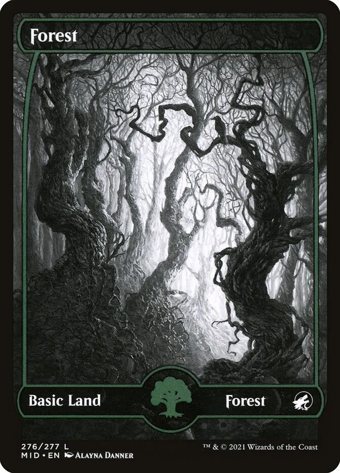 2021 Innistrad: Midnight Hunt Forest #276 common card image