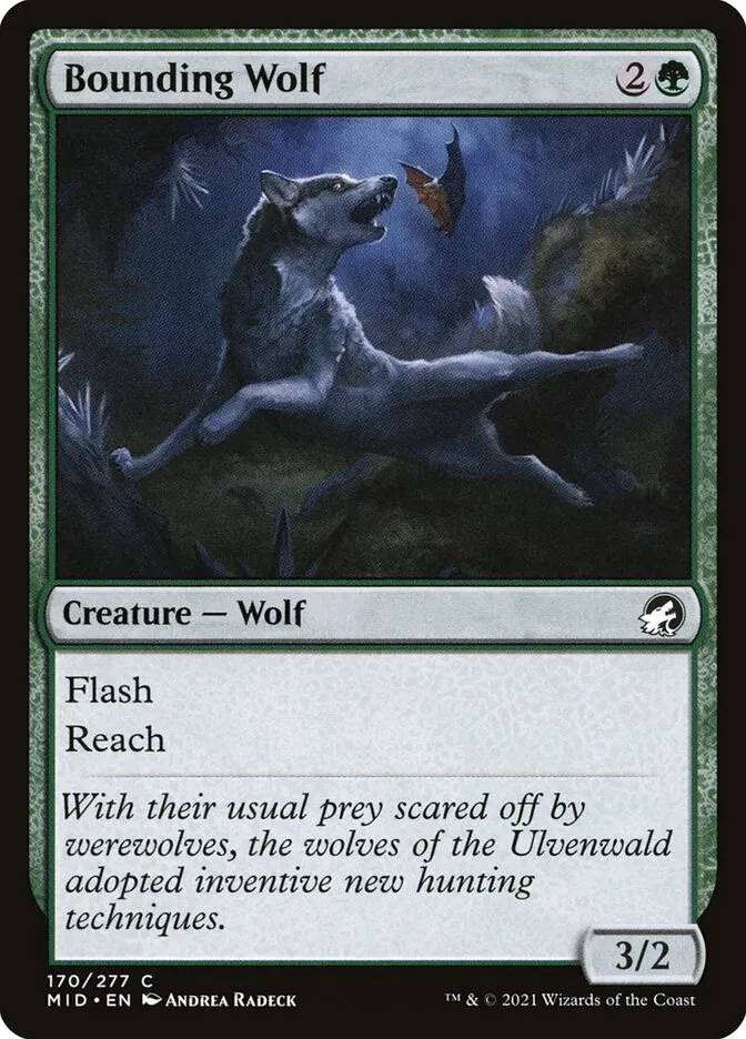 2021 Innistrad: Midnight Hunt Bounding Wolf common #170 common card image