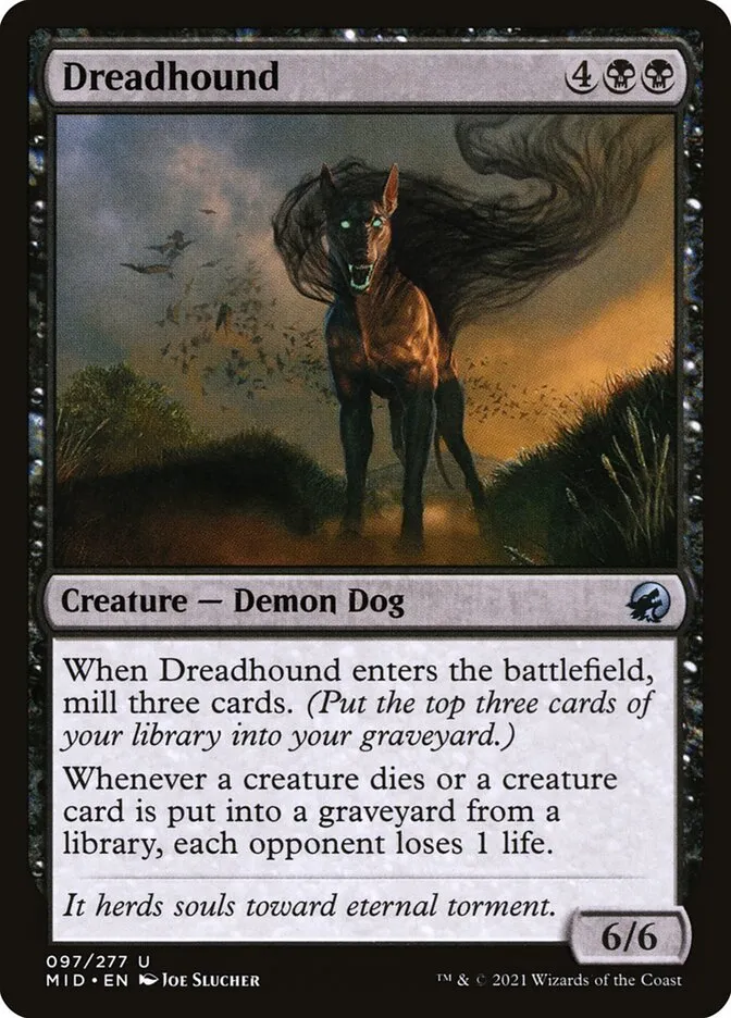 2021 Innistrad: Midnight Hunt Dreadhound uncommon #97 uncommon card image