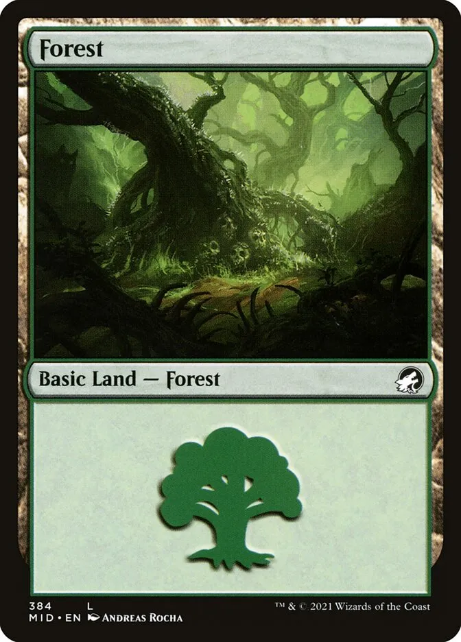 2021 Innistrad: Midnight Hunt Forest common #384 common card image