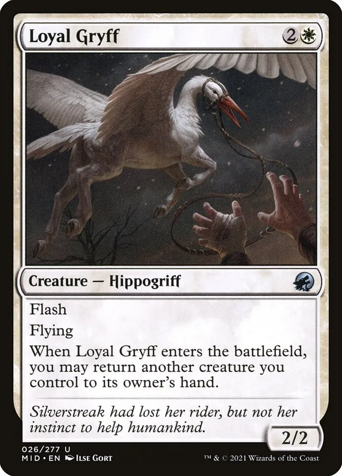 2021 Innistrad: Midnight Hunt Loyal Gryff uncommon #26 uncommon card image