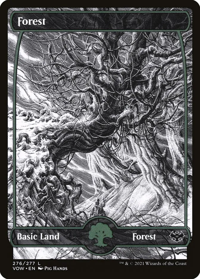 2021 Innistrad: Crimson Vow Forest common #276 common card image