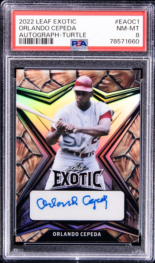 2022 Leaf Orlando Cepeda Exotic Autograph Turtle #EAOC1 card image