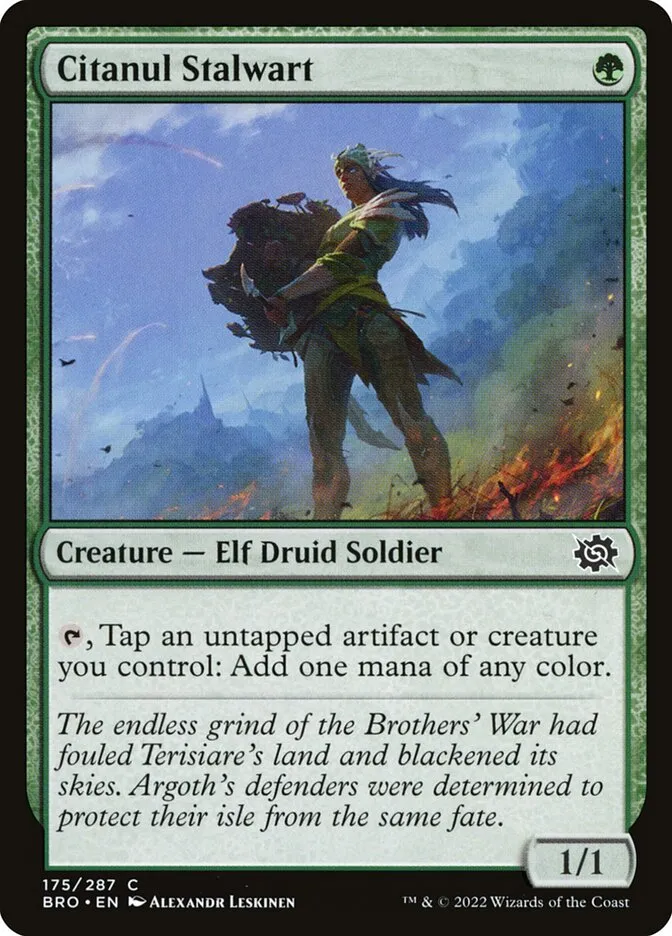 2022 The Brothers' War Citanul Stalwart #175 common card image