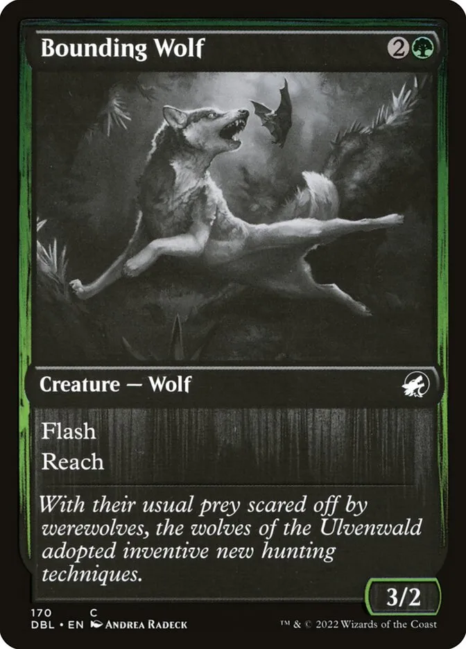 2022 Innistrad: Double Feature Bounding Wolf common #170 common card image