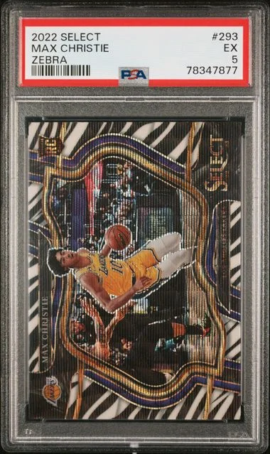 2022 Panini Select Max Christie Zebra #293 card image