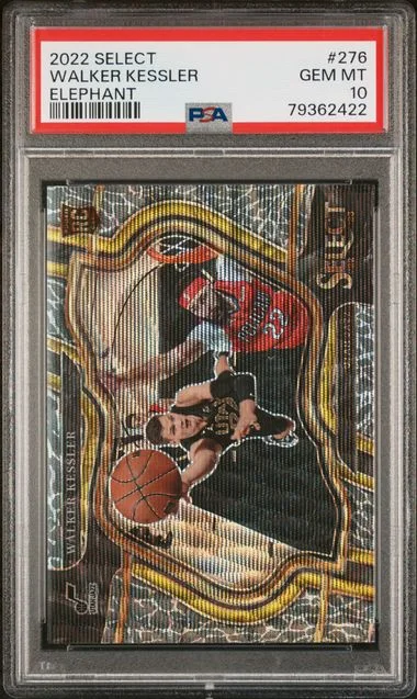 2022 Panini Select Walker Kessler Elephant #276 card image
