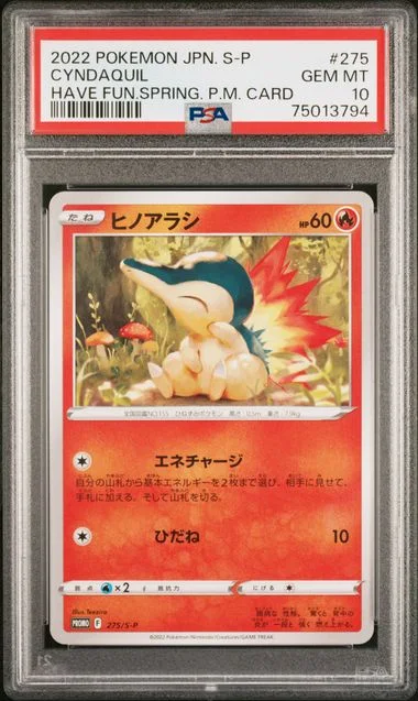 2022 Pokemon Japanese S Promo Have Fun Spring Cyndaquil #275 card image