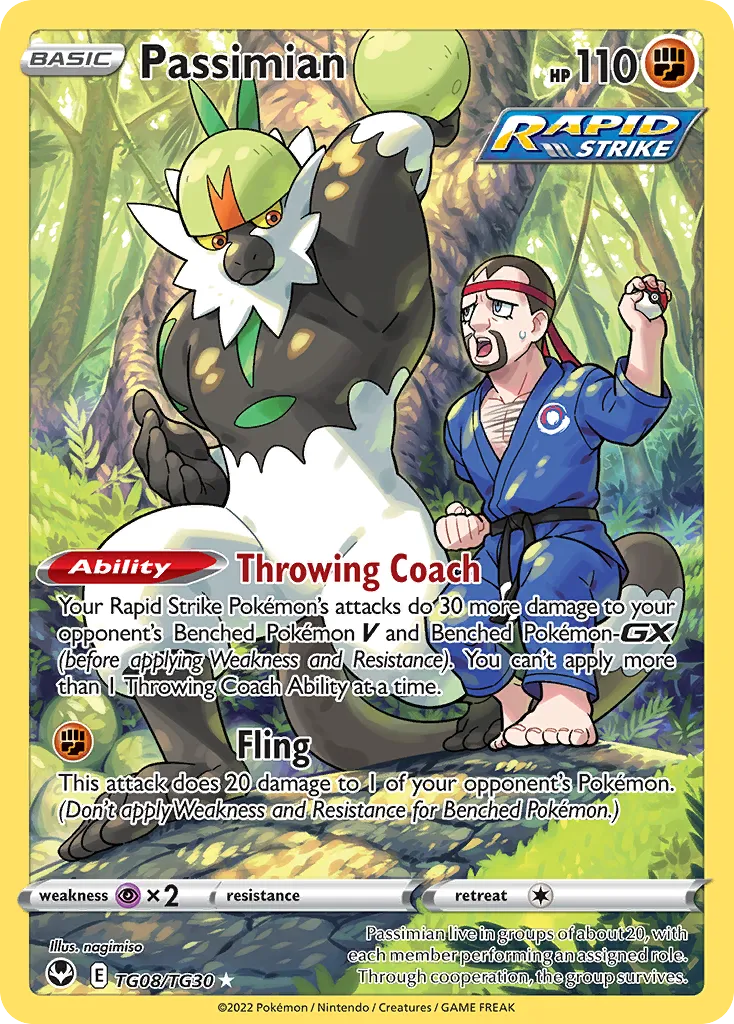 2022 Silver Tempest Trainer Gallery Passimian Trainer Gallery Rare Holo #TG08 Trainer Gallery Rare Holo card image