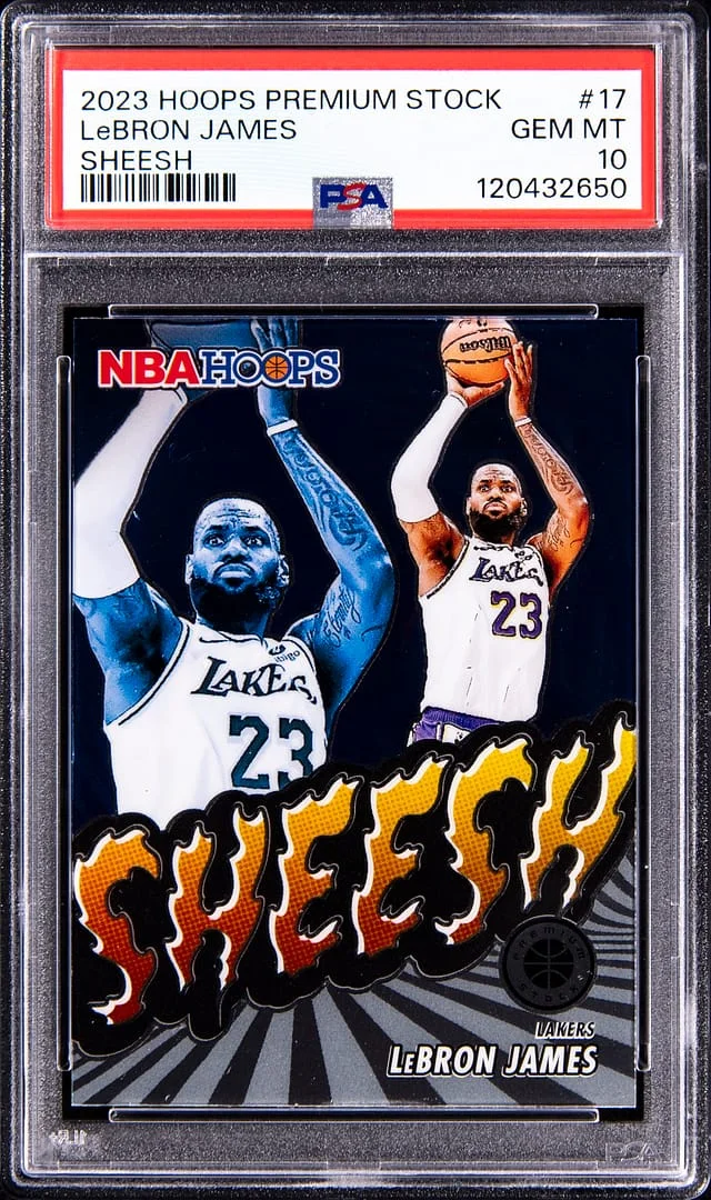 2023-24 Panini Hoops Premium Stock LeBron James Sheesh #17 card image