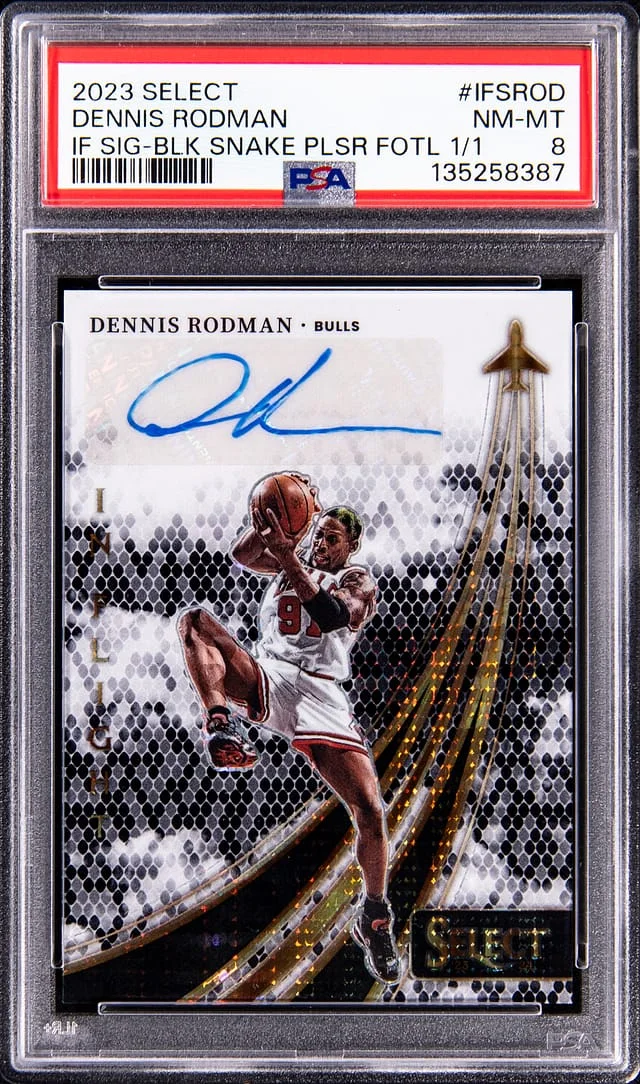 2023-24 Panini Select Dennis Rodman In Flight Signatures Black Snake Pulsar FOTL #IFS-ROD card image