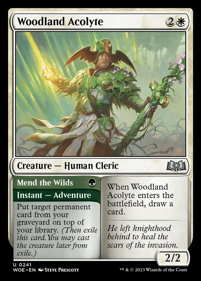 2023 Wilds of Eldraine Woodland Acolyte // Mend the Wilds #241 uncommon card image