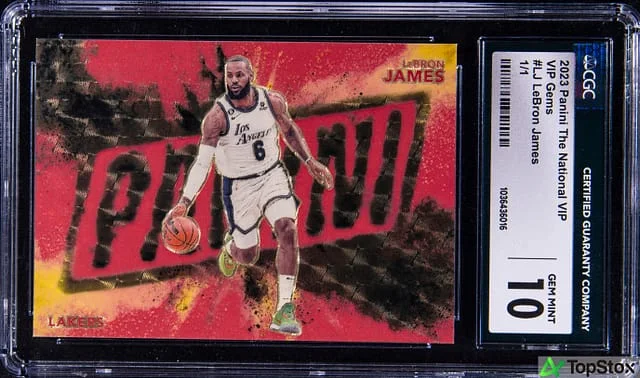 2023 Panini LeBron James The National VIP Gems 1/1 #LJ card image