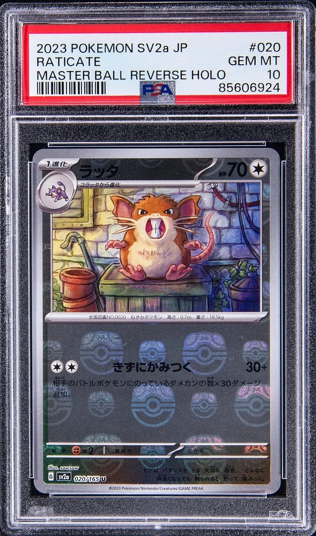 2023 Pokemon Japanese Scarlet/Violet Pokemon 151 Master Ball Reverse Holographic Raticate #020 card image