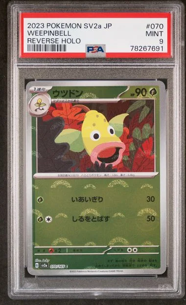 2023 Pokemon Japanese Sv2A-Pokemon 151 Weepinbell #070 card image