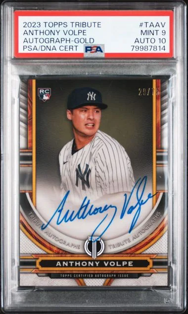 2023 Topps Tribute Anthony Volpe Tribute Autograph Gold #TA-AV card image