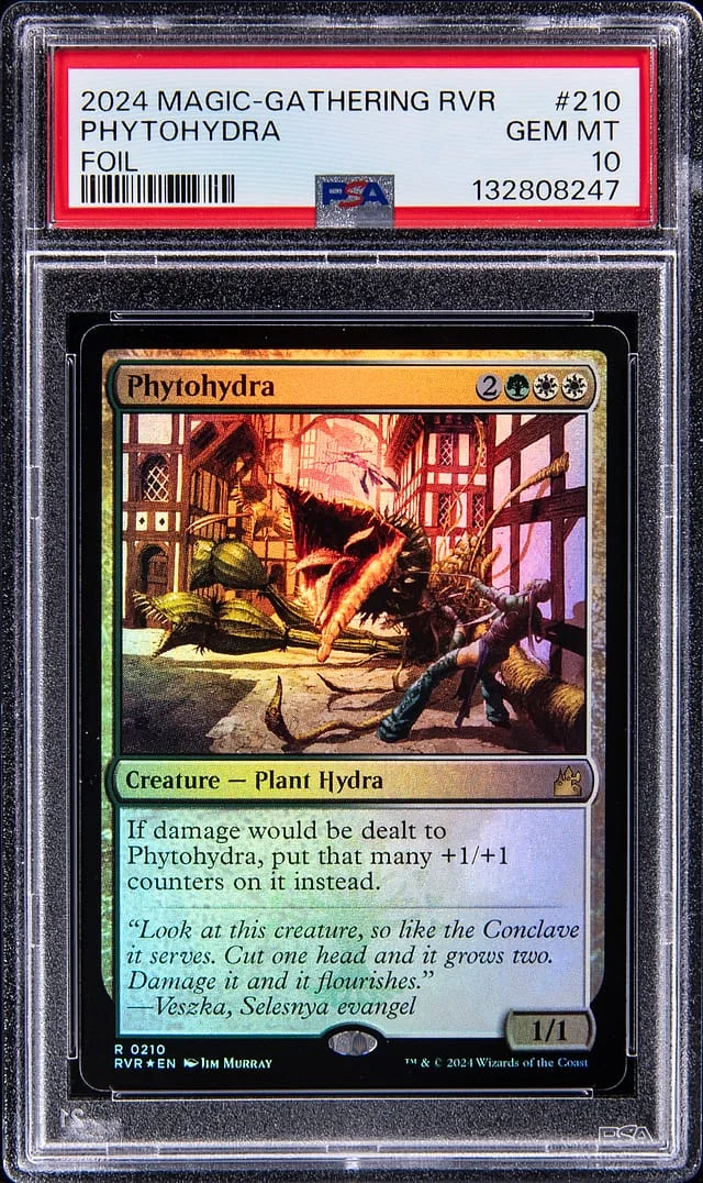 2024 Magic: The Gathering Ravnica Remastered Holo Photohydra #210 card image