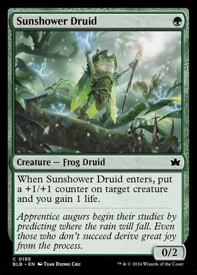 2024 Bloomburrow Sunshower Druid #195 common card image