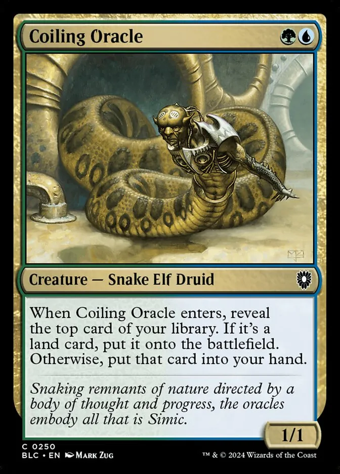2024 Bloomburrow Commander Coiling Oracle common #250 common card image