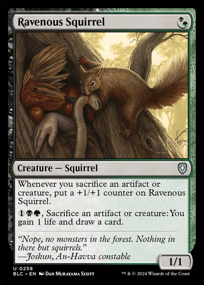 2024 Bloomburrow Commander Ravenous Squirrel uncommon #258 uncommon card image