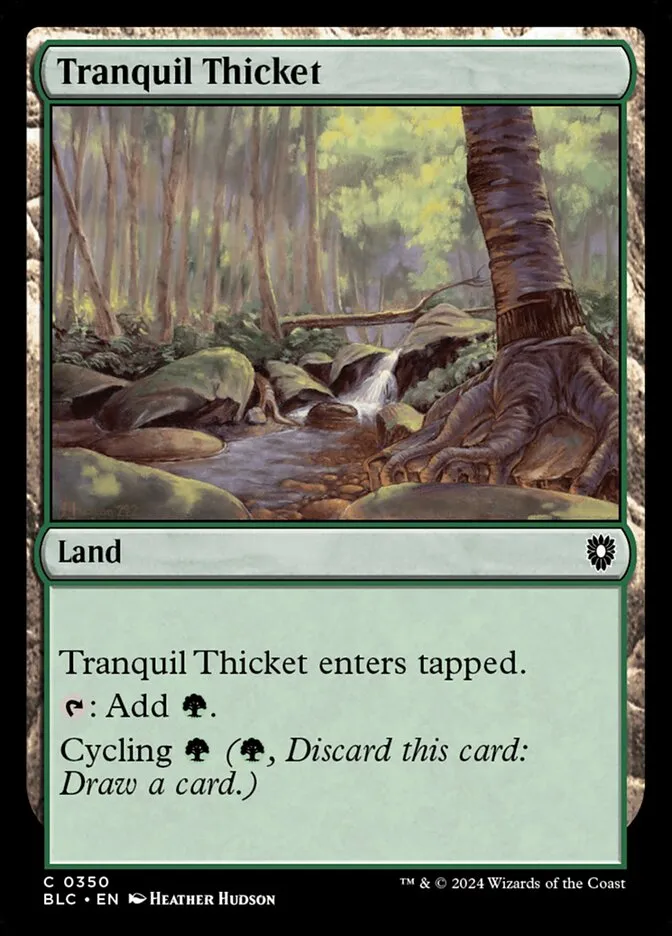 2024 Bloomburrow Commander Tranquil Thicket common #350 common card image