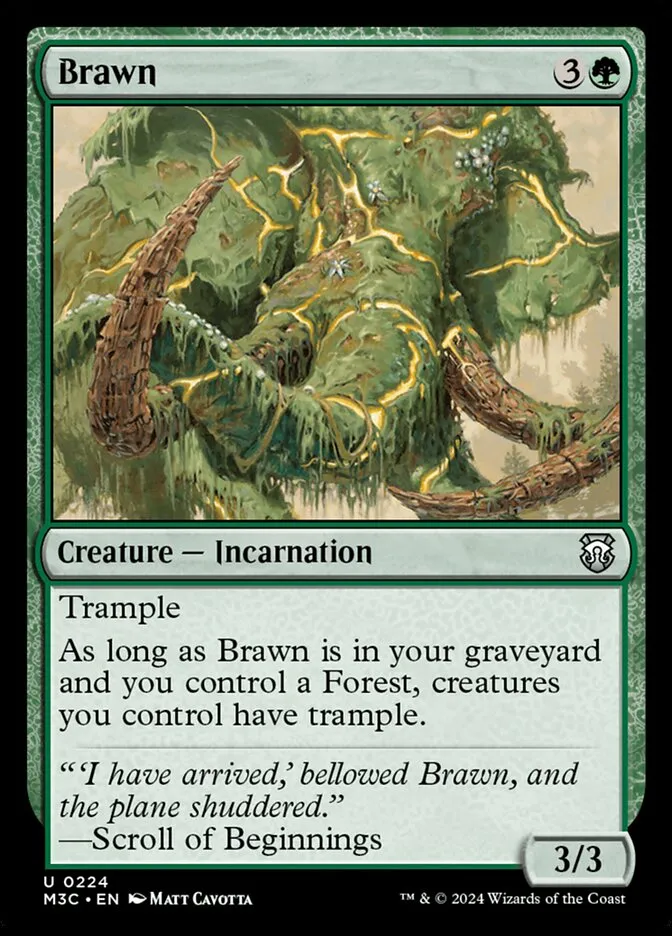 2024 Modern Horizons 3 Commander Brawn uncommon #224 uncommon card image