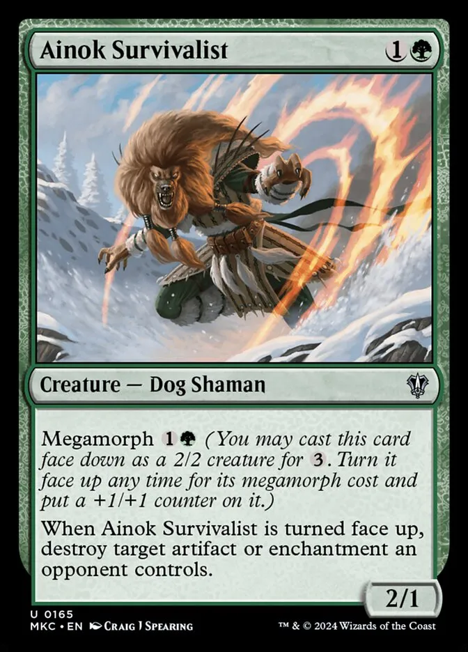 2024 Murders at Karlov Manor Commander Ainok Survivalist #165 uncommon card image