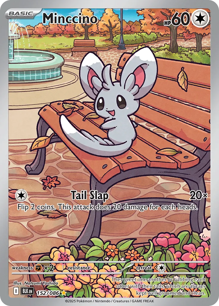 2025 Black Bolt Minccino #152/86 Illustration Rare card image