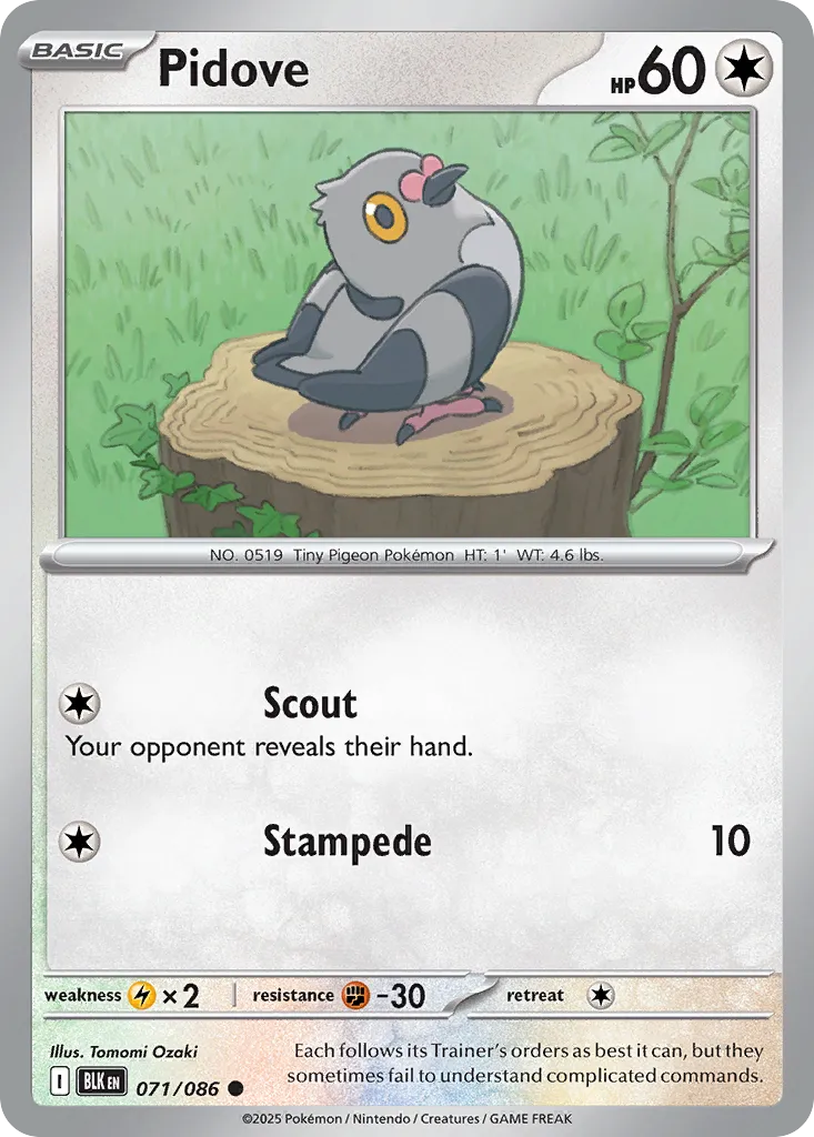2025 Black Bolt Pidove Common #71/86 Common card image