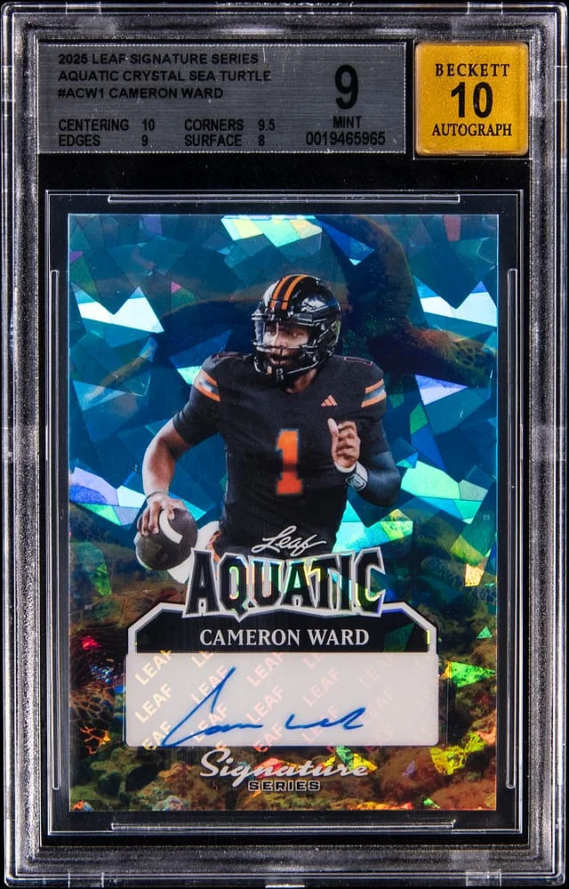 2025 Leaf Signature Series Cameron Ward Aquatic Crystal Sea Turtle #A-CW1 card image