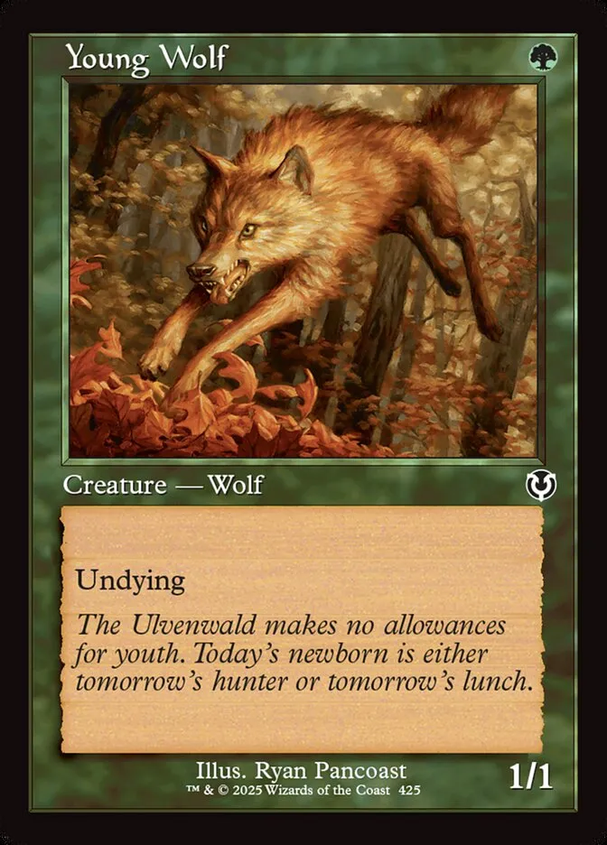 2025 Innistrad Remastered Young Wolf #425 common card image