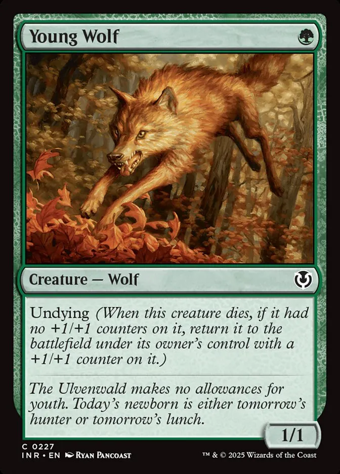 2025 Innistrad Remastered Young Wolf [Foil] common #227 common card image