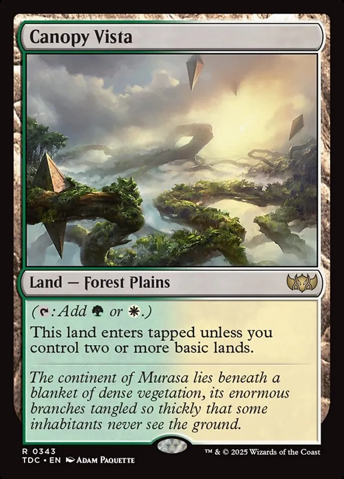 2025 Tarkir: Dragonstorm Commander Canopy Vista #343 rare card image