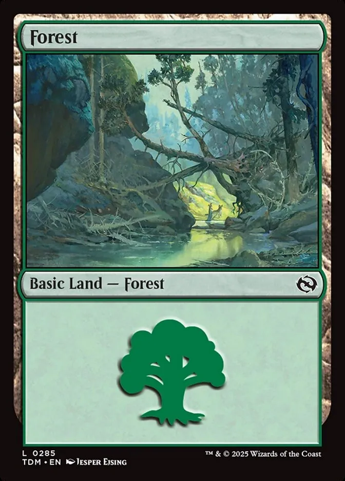 2025 Tarkir: Dragonstorm Forest #285 common card image