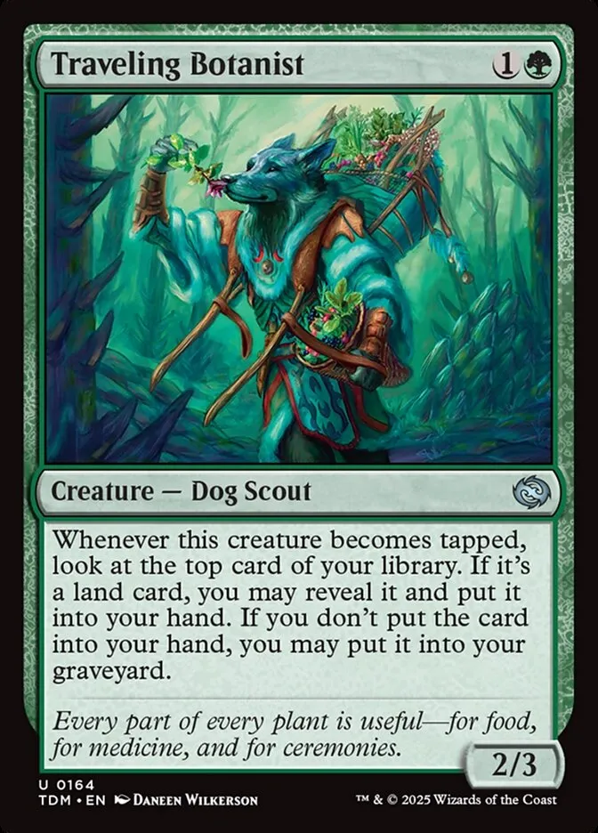 2025 Tarkir: Dragonstorm Traveling Botanist #164 uncommon card image