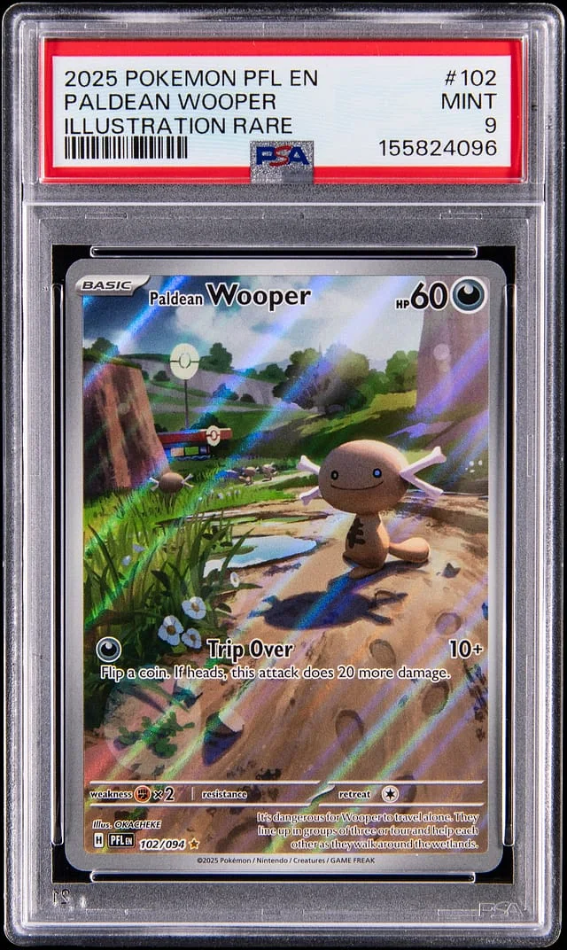 2025 Pokemon Phantasmal Flames Illustration Rare Paldean Wooper #102 card image