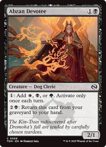 2025 Tarkir: Dragonstom Art Series Abzan Devotee // Abzan Devotee common #10 unlisted card image