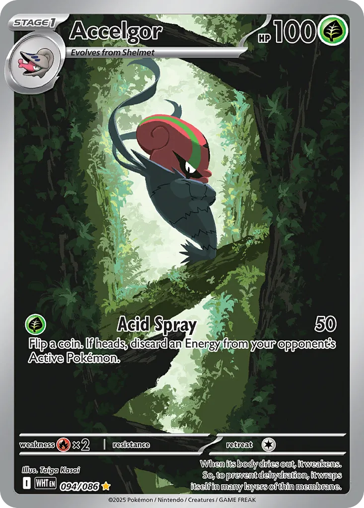 2025 White Flare Accelgor Illustration Rare #94/86 Illustration Rare card image