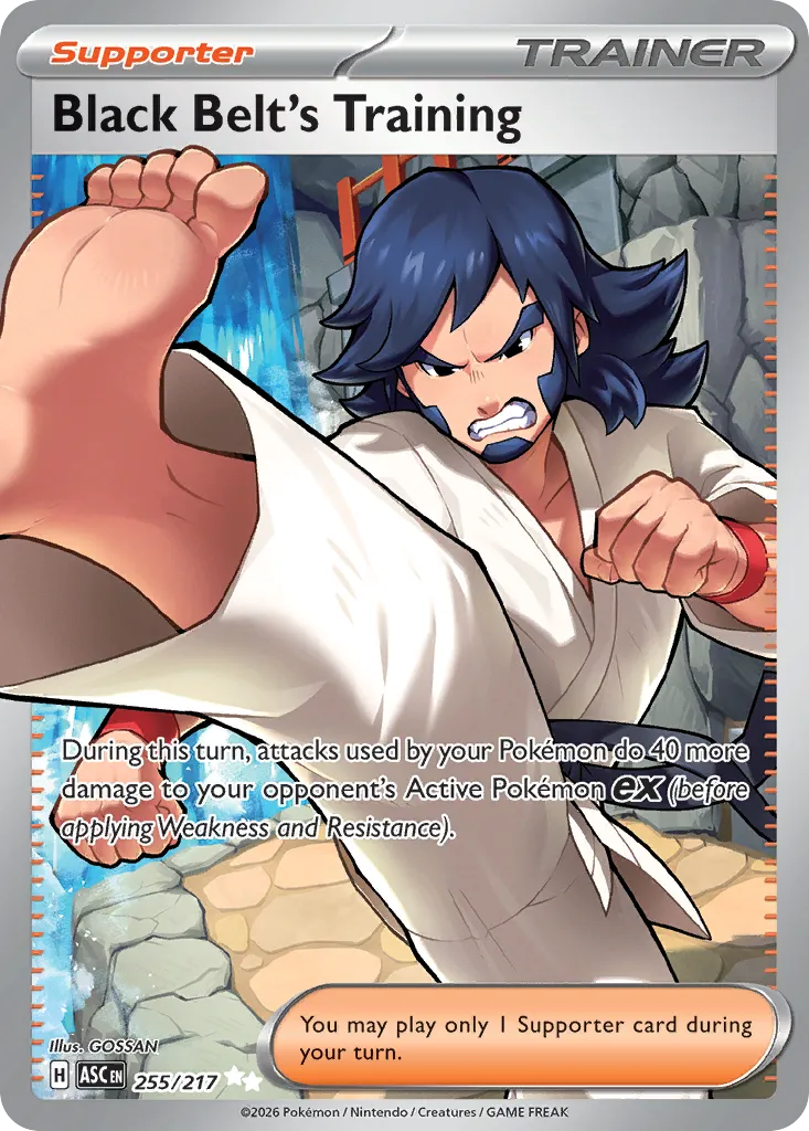 2026 Ascended Heroes Black Belt's Training #255/217 Ultra Rare card image