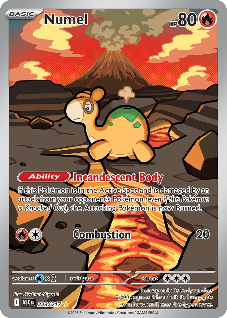 2026 Ascended Heroes Numel #223/217 Illustration Rare card image