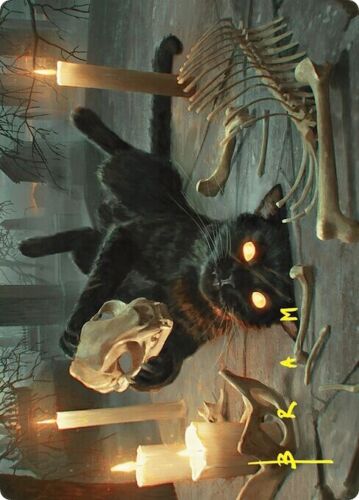 2024 Foundations Art Series Nine-Lives Familiar // Nine-Lives Familiar common #8 common card image