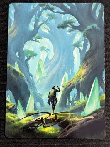 2024 Foundations Art Series Forest // Forest common #25 common card image